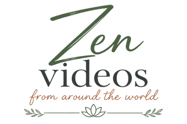 zen_videos_transparent_exact.png