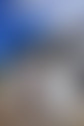 英語を勉強しなければ。。。