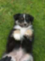 Uska De La Légende Asturienne