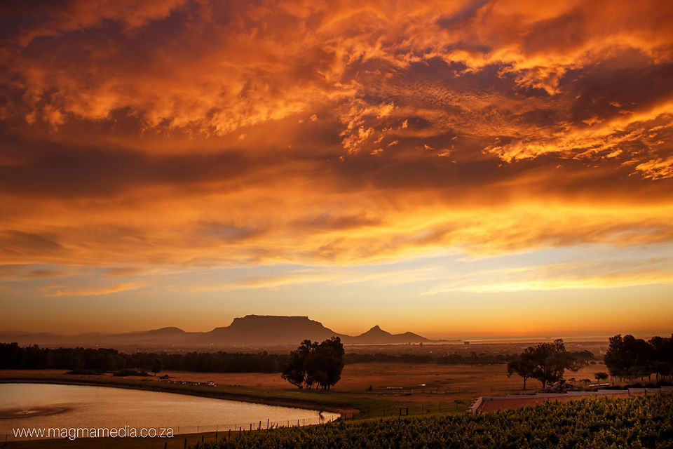 cape town corporate photographer_event photographer_147