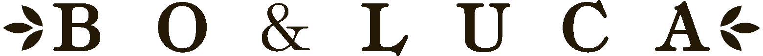 A1 Bo & Luca Logo.gif