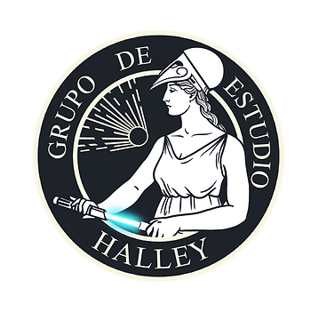 logo grupo estudio academia esgrima laser png.PNG