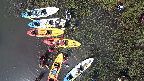 קיאקים בסוואנה המוצפת