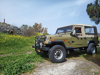 טיולי ג'יפים