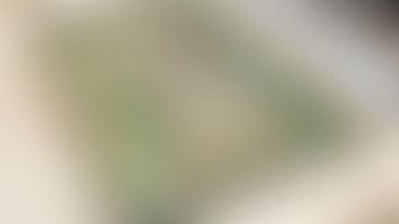 Model of the Inner Sunset at SF Public Library