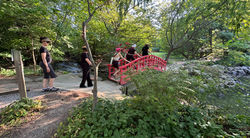 IMG_5364_edited_edited