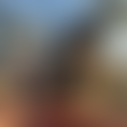 2026~ A New Year of Hope: Moving Forward with the Spirit of the Horse