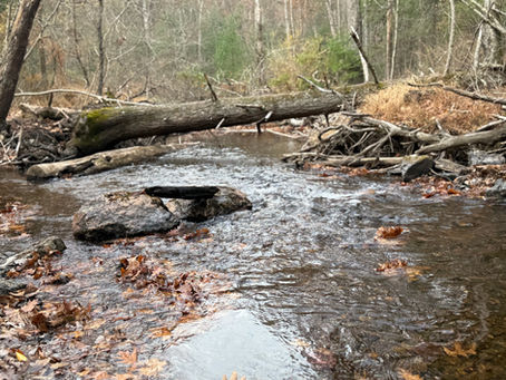 Effective Stress Coping Tips: Strategies to Manage Stress Daily