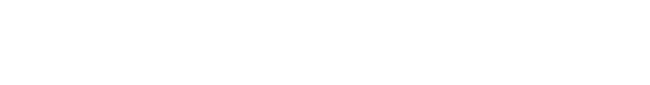 The Shenandoah Guys