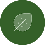 Banner Circular 2.png