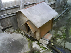 DSC04025