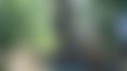 阿罩霧圳