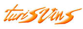 logo%20tv_edited.png