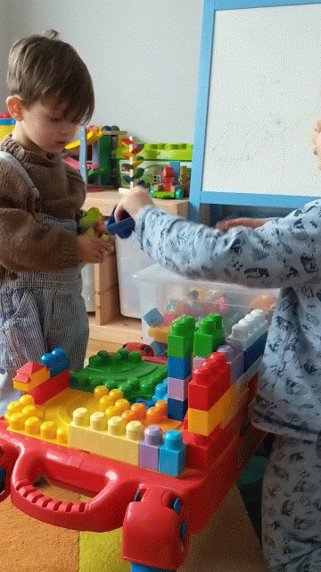 VID_20190115_095900-ANIMATION.gif