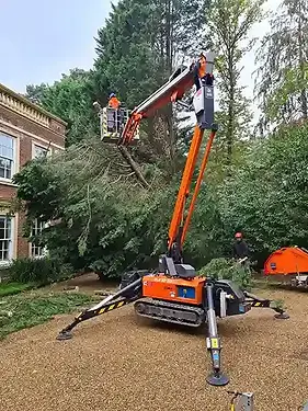 BC Tree Services 24 hour emergency call out