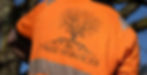 Back of a person in an orange high-vis shirt with a tree logo and BC Tree Services text outdoors.