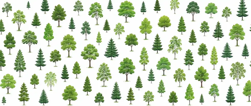 grove-mixed-woodland.webp