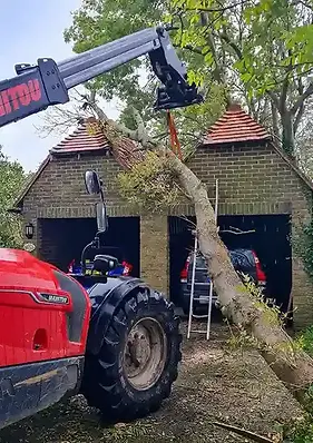 Emergency tree work in East Sussex