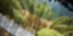 150412-F-NW635-999_edited.jpg