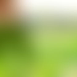 Home green home: Save tax by saving energy