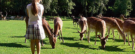 HWP_Fruehjahr-0809-065_900x600.jpg