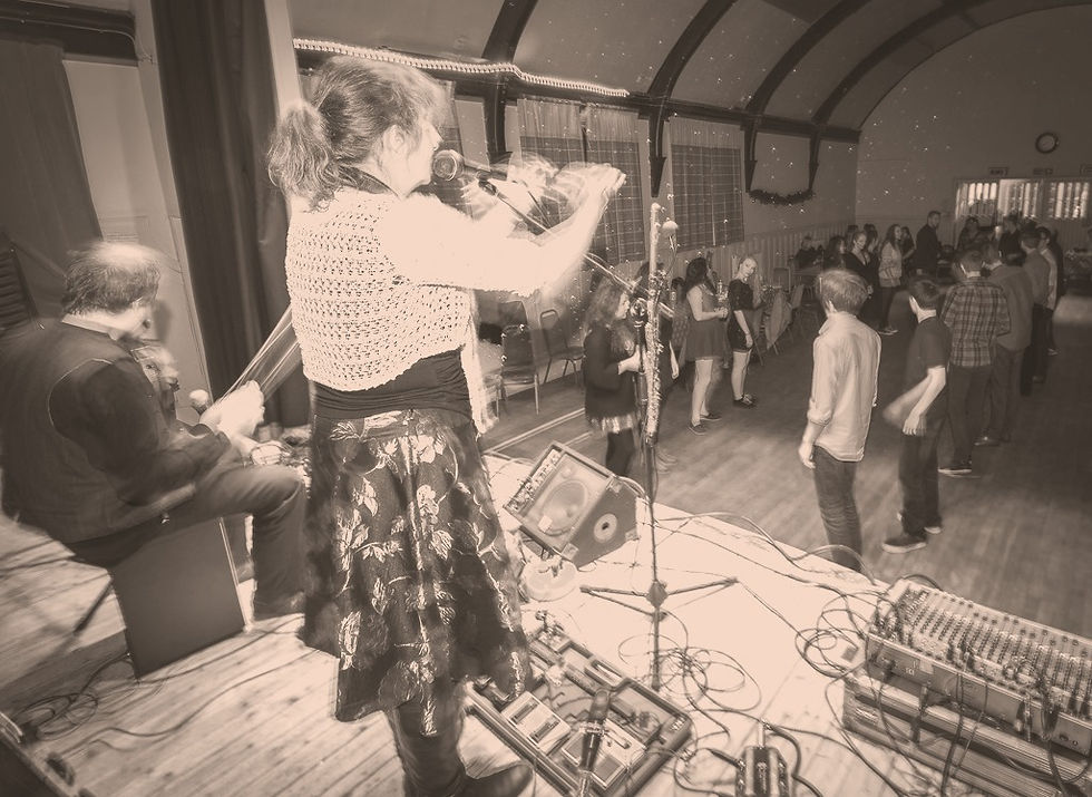 Dancing Feet Ceilidh Band live, calling a ceilidh dance, strip the willow