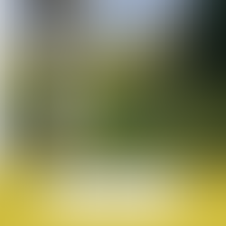 Springtime Adventures: Exploring Lauritzen Gardens with Your Toddler