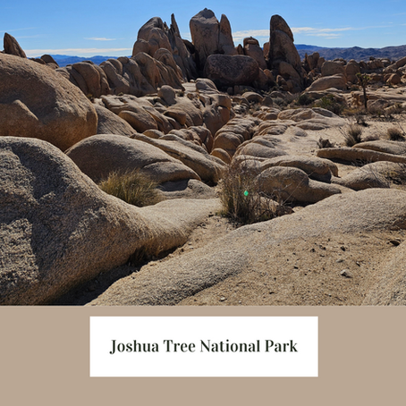 Exploring Joshua Tree National Park