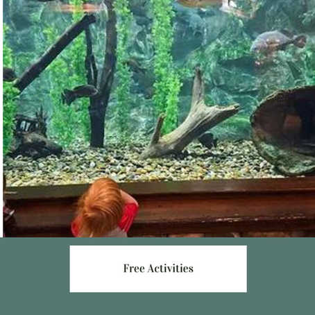 Free Activities for Toddlers in West Omaha