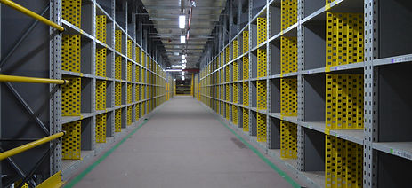 Light Duty Shelving.JPG
