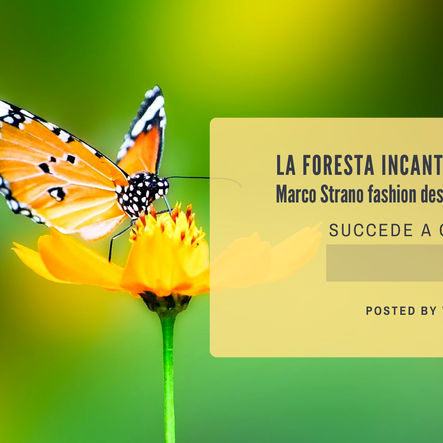 La foresta incantata