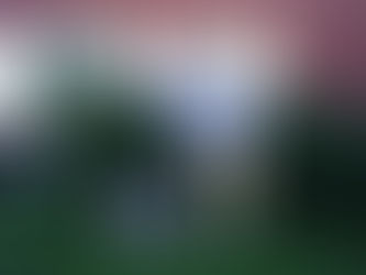 Brian Knuuttila Westminster 2008