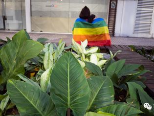 步步為營—中國LGBT人群的權利倡導