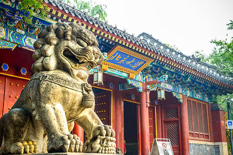 beijing university.jpg