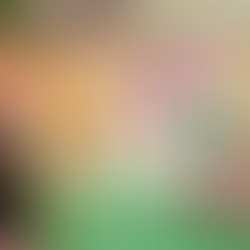 포털 동영상 광고 상품 성장: 네이버, 카카오 등에서 동영상 광고 활용 증가