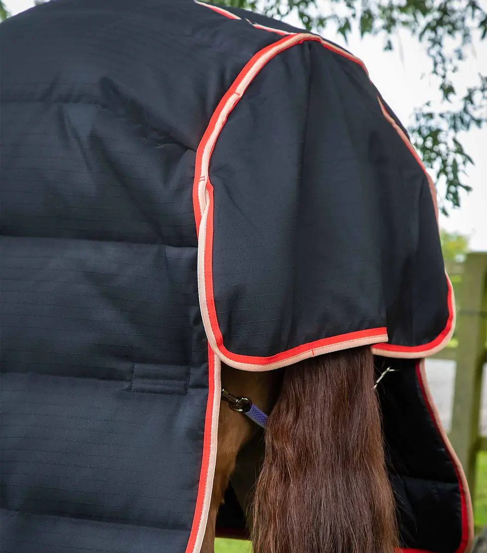 Thumbnail: Premier Equine Stable Buster 200g Stable Rug with Neck Cover
