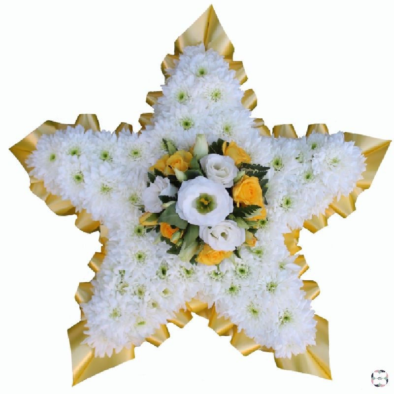 Thumbnail: Tiny star