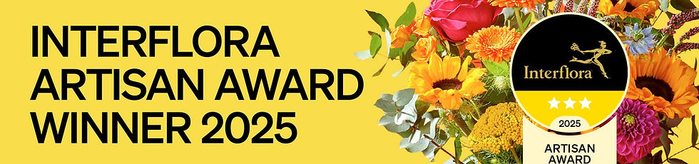 Web-Banner-Version-1-3-Stars.jpg