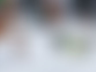 Αμάραντoς για οικογένειες