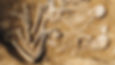 ree