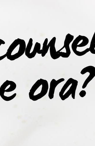 SEI COUNSELOR...E ORA?