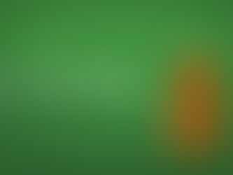 LET'S START A LIMITED COMPANY!