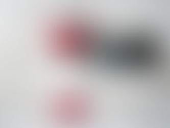 VAT DEFERRAL REPAYMENT SCHEME DEADLINE 21st JUNE