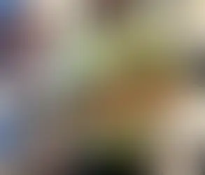 Muslim Student Plans Terrorist Attack on Texas Residents