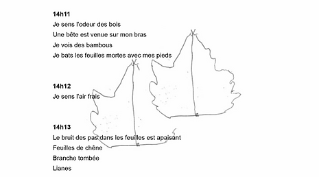 chant-piste08_LaBrède6D-chemindu4nov2025_9'13.png