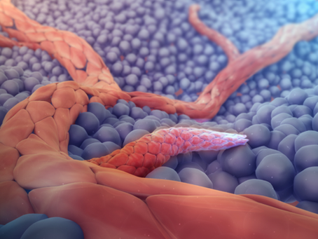 Hyperbaric Oxygen Therapy (HBOT): Ancient Practice, Modern Wellness