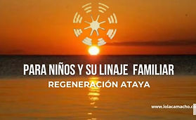 CARATULA 2 MEDITACIÓN.jpg