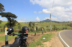 Ambewela