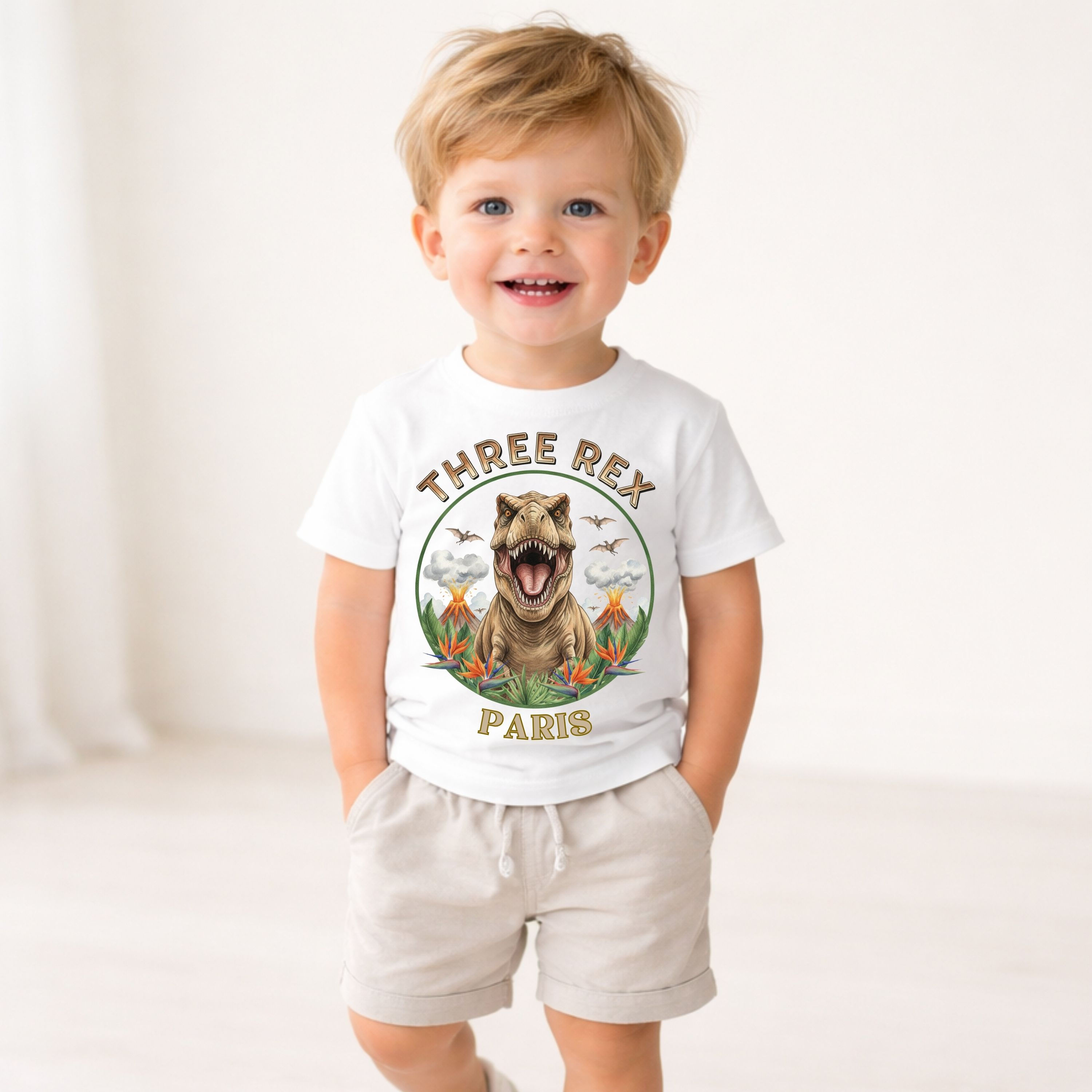 Three Rex Dinosaur Birthday Shirt, Personalised 3rd Birthday T-Shirt