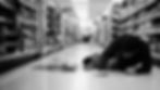 a man fallen on the ground of a store aisle after slipping on a puddle of liquid from a broken jar of sauce